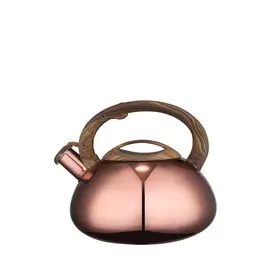 Чайник со свистком AERIS