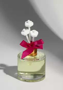 Диффузор интерьерный