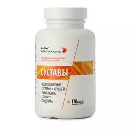 Концентрат - актив "Суставы"