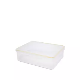 Контейнер SAGITTA, прямоугольный