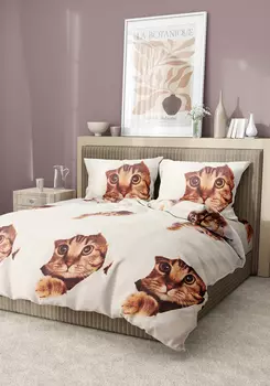 КПБ "Пушистик"