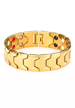 Магнитный браслет из стали "Адонис"