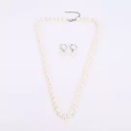 Набор "Дары природы"