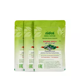 Порошок аюрведа для печени «Бхуми Амла», 3 шт.