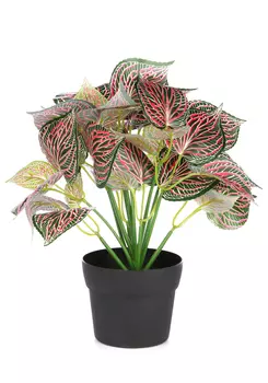 Растение искусственное "Бонсай"