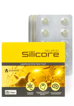 Силикор Нейрон