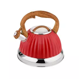 Чайник со свистком и ненагревающейся ручкой