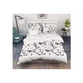 КПБ "Василиса Премудрая"