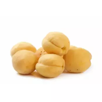 Абрикос «Шалах» C7 высота 150-180 см