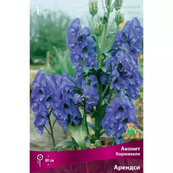 Аконит «Кармихеля Арендси»