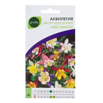 Аквилегия Geolia Мистер Скотт Эллиот