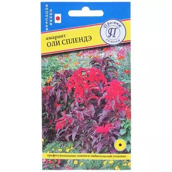 Семена цветов Амарант Оли Сплендэ смесь окрасок Престиж семена
