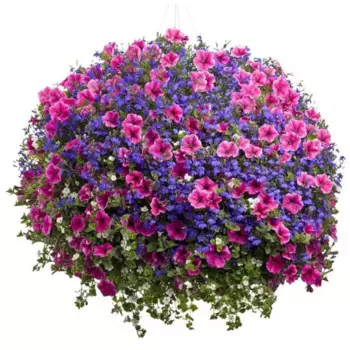 Ампельные растения микс 27 h45 см