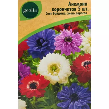 Анемона Geolia корончатая Сент Бриджид смесь окрасок 5 шт