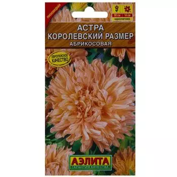 Астра абрикосовая «Королевский размер»