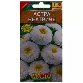 Семена цветов Астра Беатричи белый Аэлита