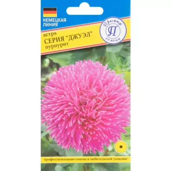 Астра Джуэл Пурпурит, 0.3 г