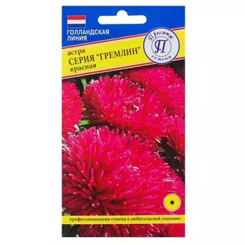 Астра «Гримлин», цвет красный