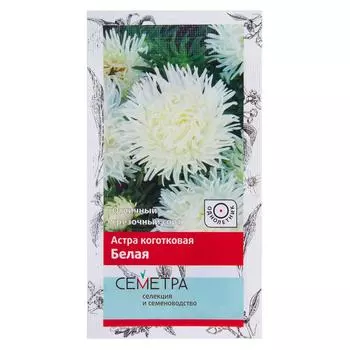 Астра коготковая цвет белый