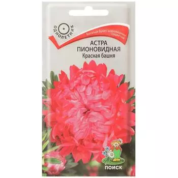 Астра пионовидная «Красная башня»