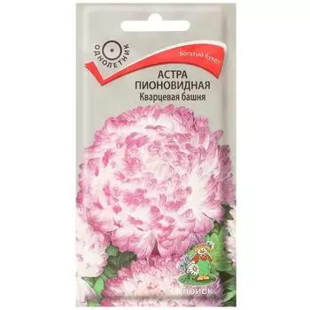 Астра пионовидная «Кварцевая башня»