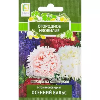 Астра пионовидная «Осенний вальс»