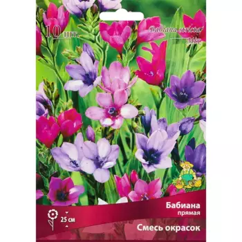 Бабиана прямая смесь окрасок, 10 шт