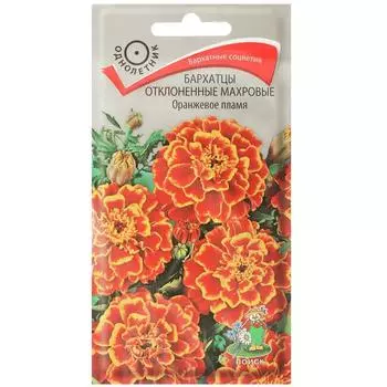 Бархатцы отклонённые махровые «Оранжевое пламя»