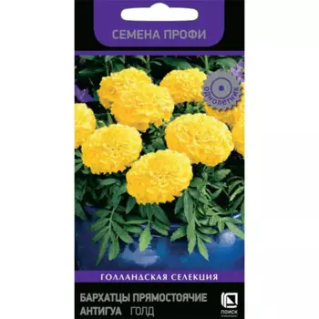 Бархатцы прямостоячие Антигуа Голд 15 шт.