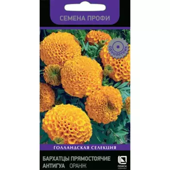 Бархатцы прямостоячие Антигуа Оранж 15 шт.