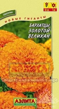 Бархатцы прямостоящие «Золотой великан»