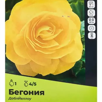 Бегония Дабл Йеллоу луковицы 4/5