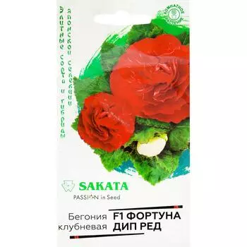 Бегония «Фортуна Дип Ред» F1, 4 шт.