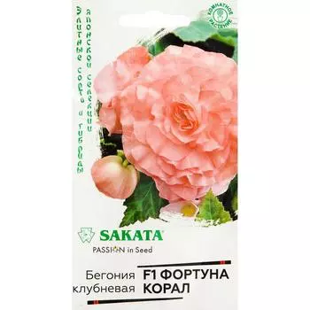 Бегония «Фортуна Корал» F1, 4 шт.