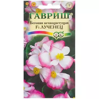 Бегония «Лученец» F1, h9, 5 шт.