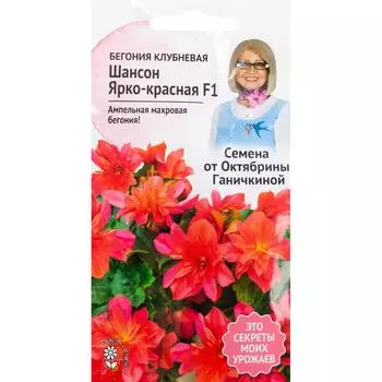 Бегония «Шансон» ярко-красная F1 6 шт.