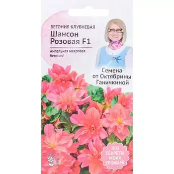 Бегония «Шансон» розовая F1 6 шт.