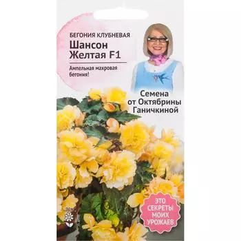 Бегония «Шансон» жёлтая F1 6 шт.