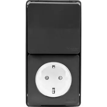 Блок выключатель с розеткой влагозащищённый Schneider Electric Mureva 1 клавиша с заземлением с крышкой и шторками IP55