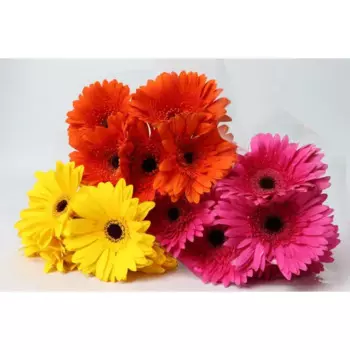Букет Гербера в ассортименте 7 шт.