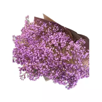 Букет Гипсофила 1 шт.