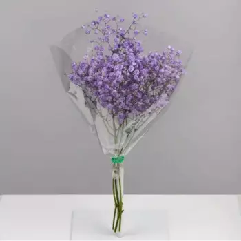 Букет Гипсофила 3 шт.