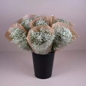 Букет Гипсофила 5 шт.