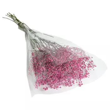 Букет Гипсофила 5 шт.