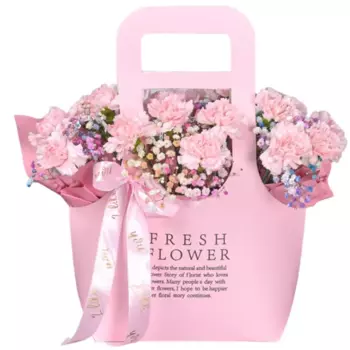 Букет Гвоздика, гипсофила 13 шт.