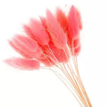 Букет из сухих цветов Лагурус оранжевый h70 см