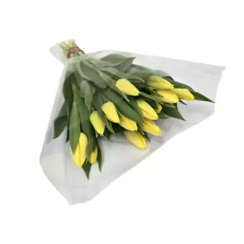 Букет Тюльпан 15 шт.