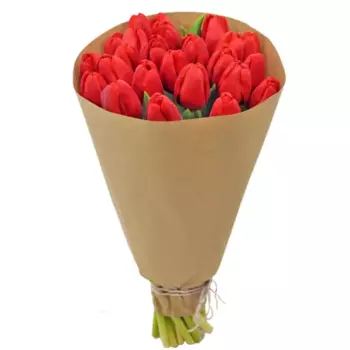 Букет Тюльпан 25 шт.