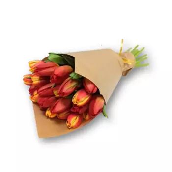 Букет Тюльпан 25 шт.