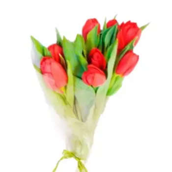 Букет Тюльпан 9 шт.